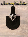 2019 January Fashion Fix Exclusive - Black Ring ~ Paparazzi